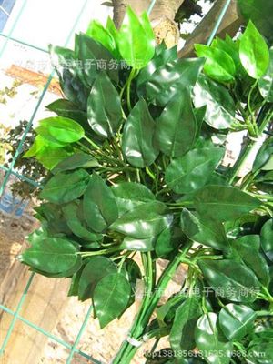 树枝 仿真树叶树枝榕树叶装饰做树工程厂家义乌批发大量工厂生产-义乌市创钜电子商务商行提供树枝 仿真树叶树枝榕树叶装饰做树工程厂家义乌批发大量工厂生产的相关介绍、产品、服务、图片、价格义乌市创钜电子商务商行、仿真植物;仿真水果;仿真花;仿真草坪;婚庆节庆用品;仿真藤条盆栽